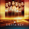 Siesta Key - Happy to See Me, Right?  artwork