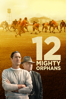 Ty Roberts - 12 Mighty Orphans  artwork