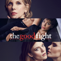 The Good Fight - The Good Fight, Staffel 1 artwork