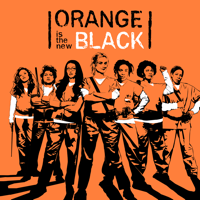 Orange Is the New Black - Orange is the New Black, Season 5 artwork
