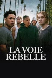 La voie rebelle (Gully)