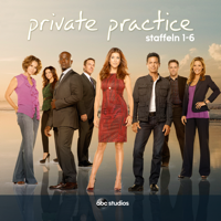 Private Practice - Private Practice,  Staffel 1-6 artwork