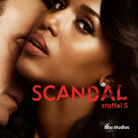 Scandal - Scandal, Staffel 5 artwork
