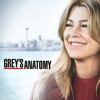 Grey's Anatomy - Grey's Anatomy, Season 15  artwork