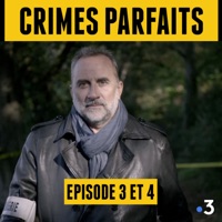 Télécharger Crimes Parfaits, Saison 2 - Antoine Duléry Episode 1