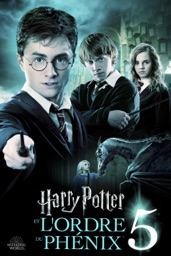 Screenshot Harry Potter et l'Ordre du Phénix