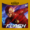 The Flash - Fury Rogue artwork