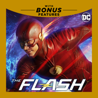 The Flash - The Flash, Season 4 artwork