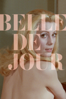 Luis Buñuel - Belle de Jour (1967) artwork