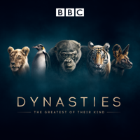 Dynasties - Emperor artwork