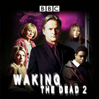 Waking the Dead - Waking the Dead, Series 2 artwork
