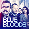 Blue Bloods - Blue Bloods, Season 9  artwork