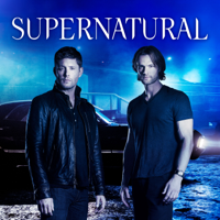 Supernatural - Supernatural, Seasons 1-13 artwork