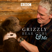 Grizzly Bear Cubs & Me - Episode 1 artwork