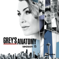 Grey's Anatomy - Grey's Anatomy, Season 15 (subtitled) artwork