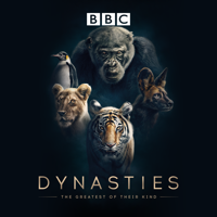 Dynasties - Lion artwork