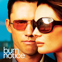 Burn Notice - Burn Notice, Staffel 3 artwork