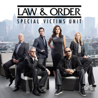 Law & Order: SVU (Special Victims Unit) - Law & Order: SVU (Special Victims Unit), Season 14 artwork