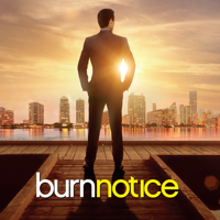 Burn Notice - Burn Notice, Season 7 artwork