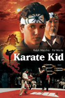 John G. Avildsen - Karate Kid artwork