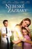 Miracles from Heaven - Patricia Riggen