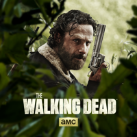 The Walking Dead - The Walking Dead, Season 5 artwork