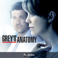 Grey's Anatomy - Don’t Let’s Start (subtitled) artwork