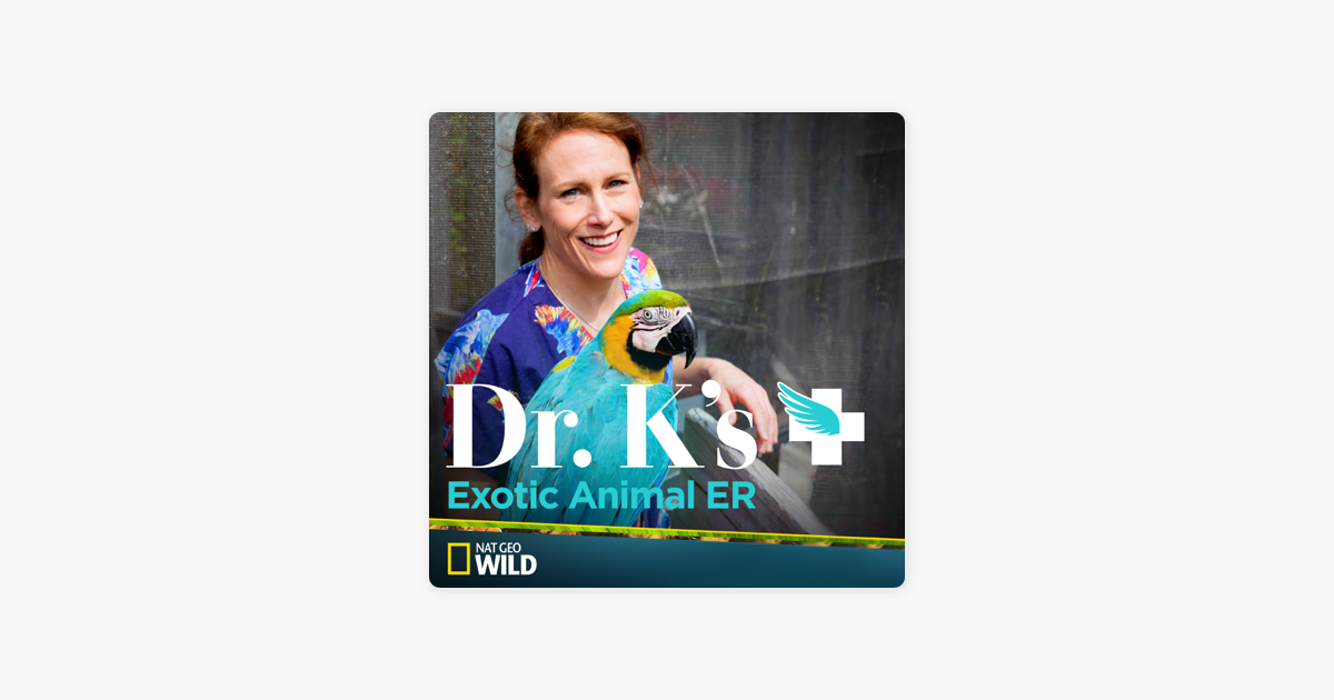 â€ŽDr. K's Exotic Animal ER, Season 1 on iTunes