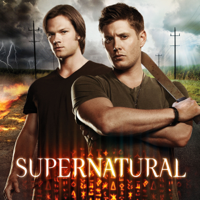 Supernatural - Supernatural, Staffel 8 artwork