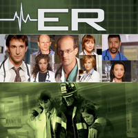 ER - ER, Season 8 artwork