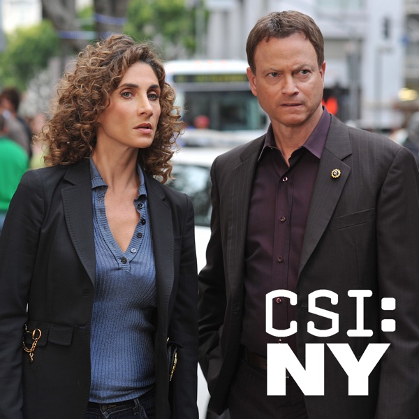 Flag on the Play part of CSI NY Season 6 Pop Culture References