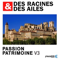Télécharger Des Racines & des Ailes, Passion patrimoine, Vol. 3 Episode 3