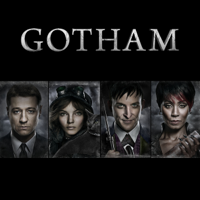 Gotham - Gotham, Season 1 artwork
