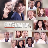Grey's Anatomy - Grey's Anatomy, Season 10 artwork