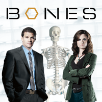 Bones - Bones, Staffel 1 artwork