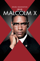 Spike Lee - Malcolm X artwork
