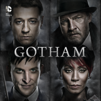 Gotham - Gotham, Season 1 artwork