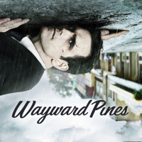 Wayward Pines - Wayward Pines artwork