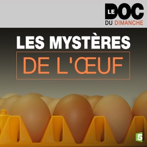 Les mystères de l'œuf - Episode 1