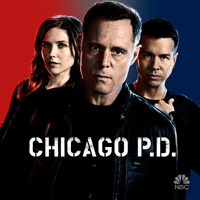 Chicago PD - Chicago PD, Season 2 artwork