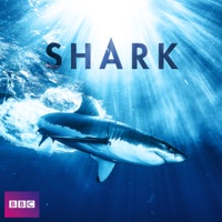 Télécharger Shark, Series 1 Episode 3