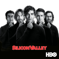 Silicon Valley - Risikosignale artwork