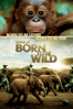 IMAX: Born to Be Wild - David Lickley