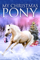 Thadd Turner - My Christmas Pony artwork
