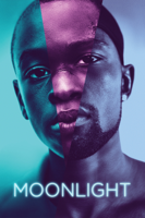 Barry Jenkins - Moonlight artwork