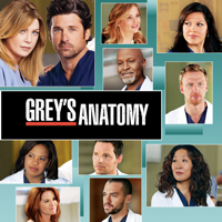 Grey's Anatomy - Grey's Anatomy, Season 9 artwork