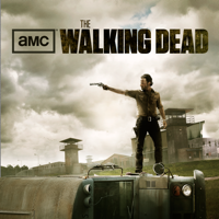 The Walking Dead - The Walking Dead, Season 3 artwork