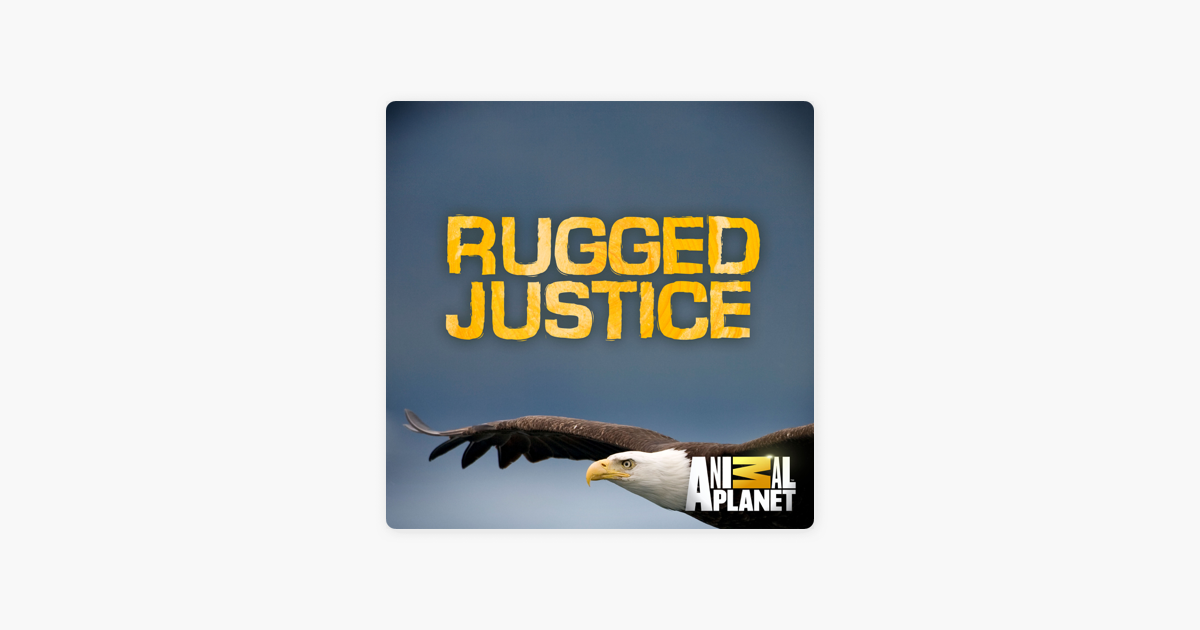 ‎Rugged Justice, Season 3 On ITunes