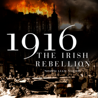 1916: The Irish Rebellion - 1916: The Irish Rebellion artwork