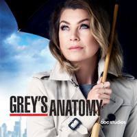 Grey's Anatomy - Grey's Anatomy, Seasons 1 - 12 artwork